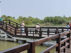 -苏州太湖国家湿地公园