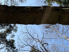 -东钱湖旅游度假区