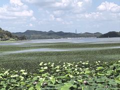 -东钱湖旅游度假区