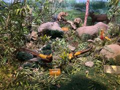 -陕西自然博物馆