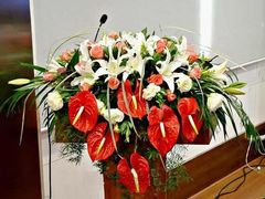 -花冠鲜花(勿忘我花店)