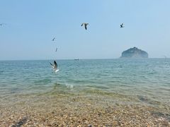 -棒棰岛宾馆景区