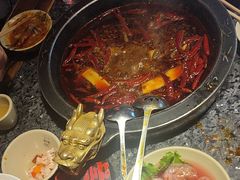 -蜀大侠火锅(总府路店)