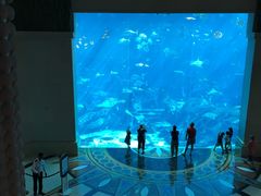 -亚特兰蒂斯水世界冒险乐园