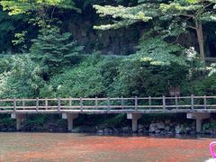 -关门山森林公园
