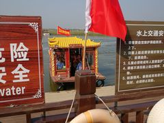 -南大港湿地风景区