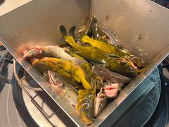-米氏火鱼·泡椒鱼火锅(李子坝老店)