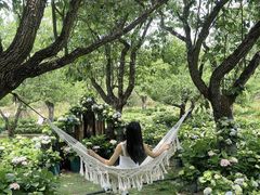 -名花谷生态庄园