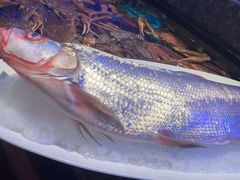 -忆江南·临江鱼馆