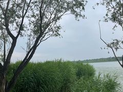 -绿堤公园