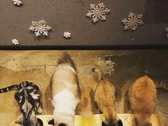 -咖法森林·咖啡  酒吧(天河店)