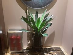-华夏良子·足道·SPA·艾灸(苏州桥店)