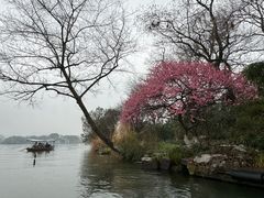 -西湖游船