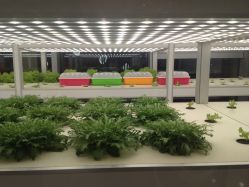 -安利上海体验馆