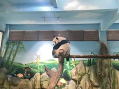 -南京汤山紫清湖生态旅游温泉度假区