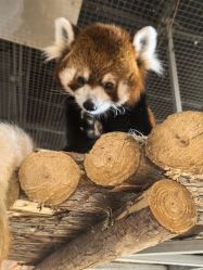 -Zoolung Zoolung动物主题公园(海信广场店)