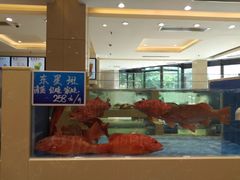 -双井轩(双井店)