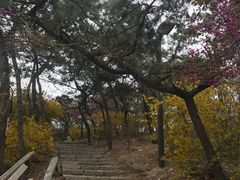 -浮山香苑