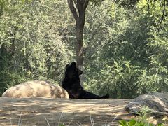 -北京野生动物园