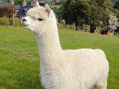 -湖南广播电视台娱乐频道