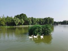 -浙江农林大学(东湖校区)