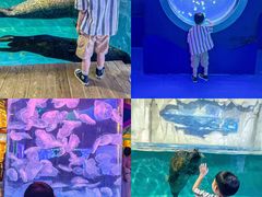 -左海海底世界