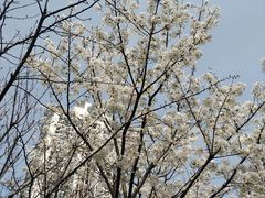 -苏州河梦清园环保主题公园