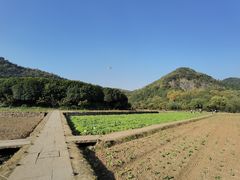 -八卦田遗址公园
