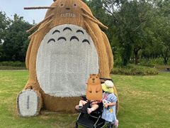 -长兴太湖图影湿地文化园