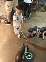 -Zoolung Zoolung动物主题公园(海信广场店)