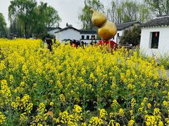 -溱湖国家湿地公园