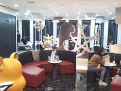 -TOP HAIR SALON
