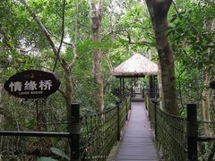 -呀诺达热带雨林
