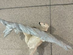 -长春世界雕塑园