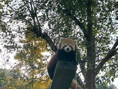 -无锡动物园·太湖欢乐园