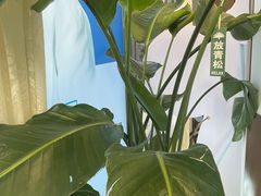 -方津口腔(旺墩路店)