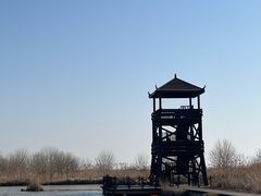 -盐城丹顶鹤湿地生态旅游区