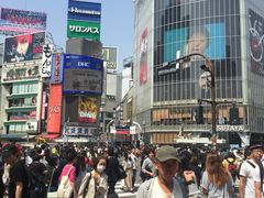 -涩谷全向十字路口