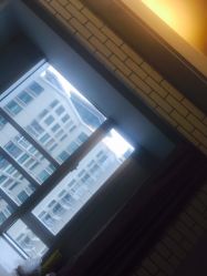 -明星刺青·洗纹身