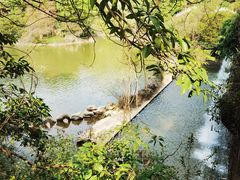 -水濂山森林公园