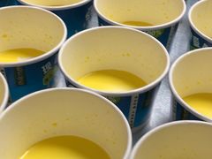 -德禄酸奶(莫家街店)