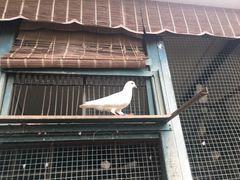 -宋庆龄陵园