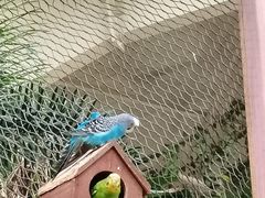 -南宫五洲植物乐园