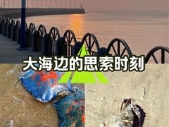 -广鹿岛