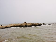 -海滨浴场