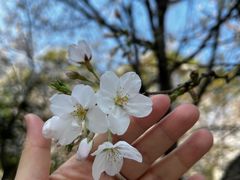 -南山植物园