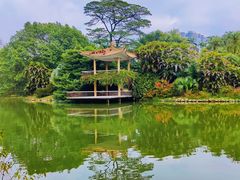 -中国科学院华南植物园
