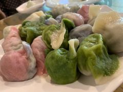 五彩饺子-宝源饺子(麦子店街店)