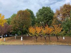 -天目湖御水温泉·度假酒店