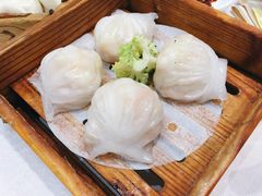 -鹅城